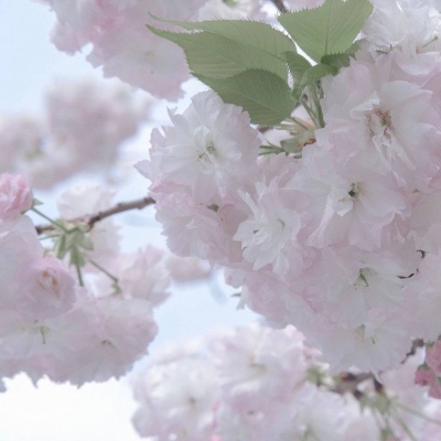 Furry插画故事感设计兽圈群